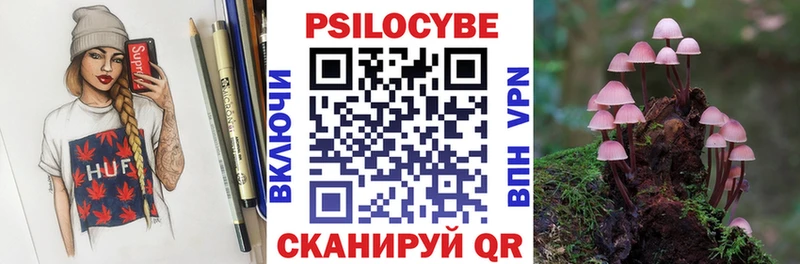 даркнет сайт  Кстово  гидра ссылки  Псилоцибиновые грибы MAGIC MUSHROOMS 